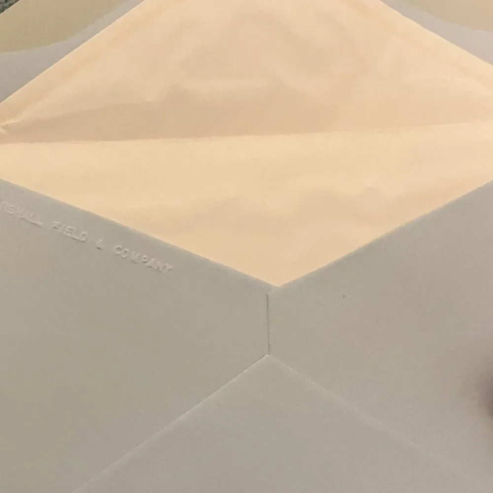 10 Blue Envelopes